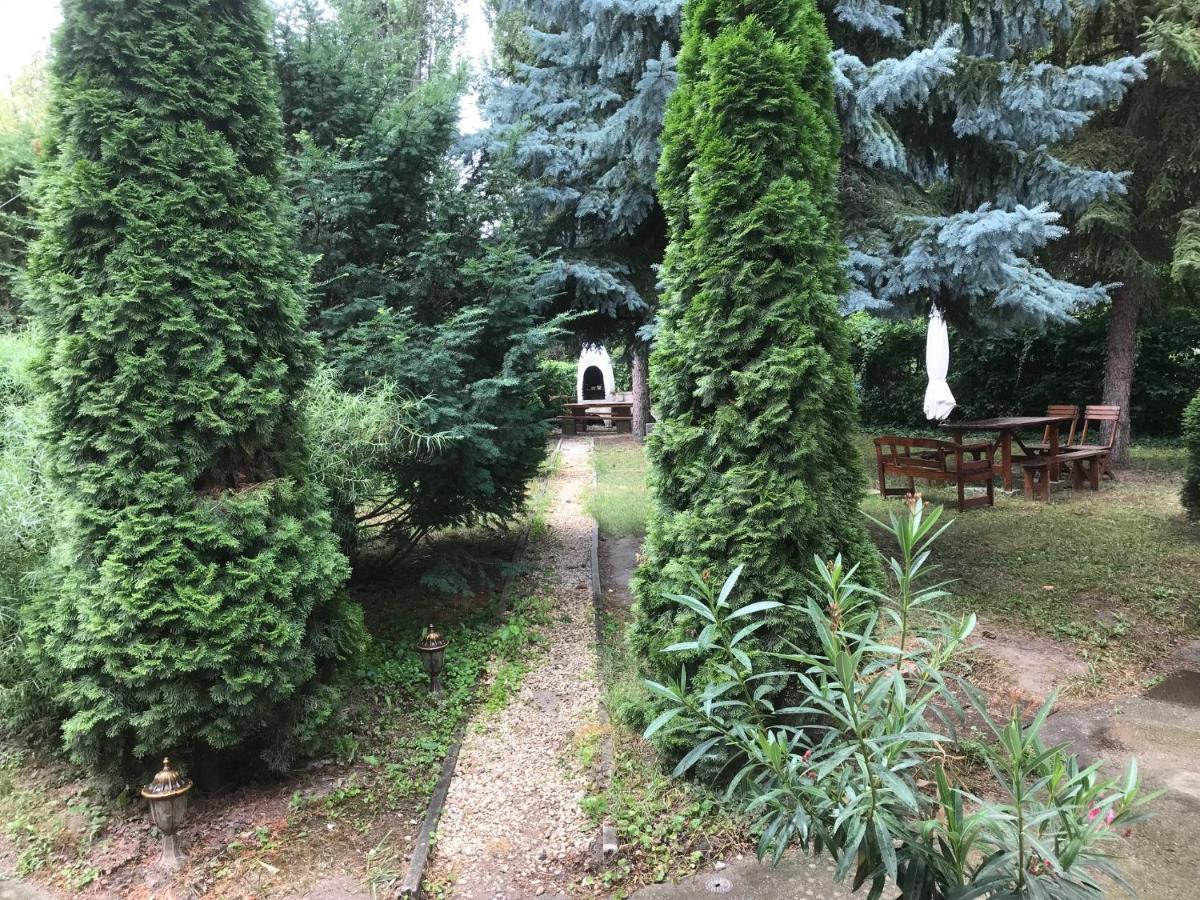 לינה וארוחת בוקר Platanus Vendeghaz זמראדי מראה חיצוני תמונה